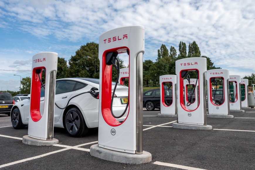 Top analysts break down the 'meltdown' of the global electric vehicle market