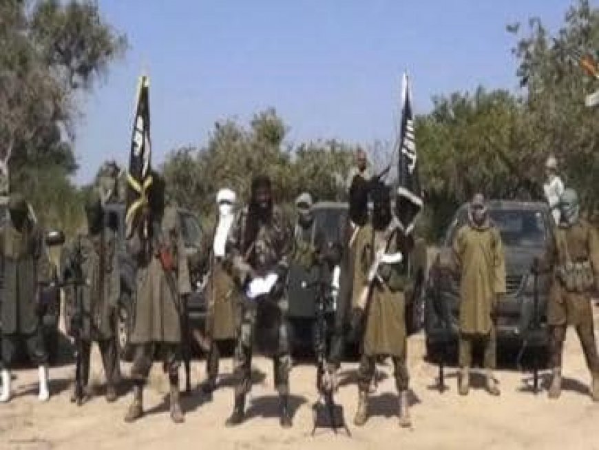 Nigeria: Suspected Boko Haram terrorists kill at least 40 in Yobe