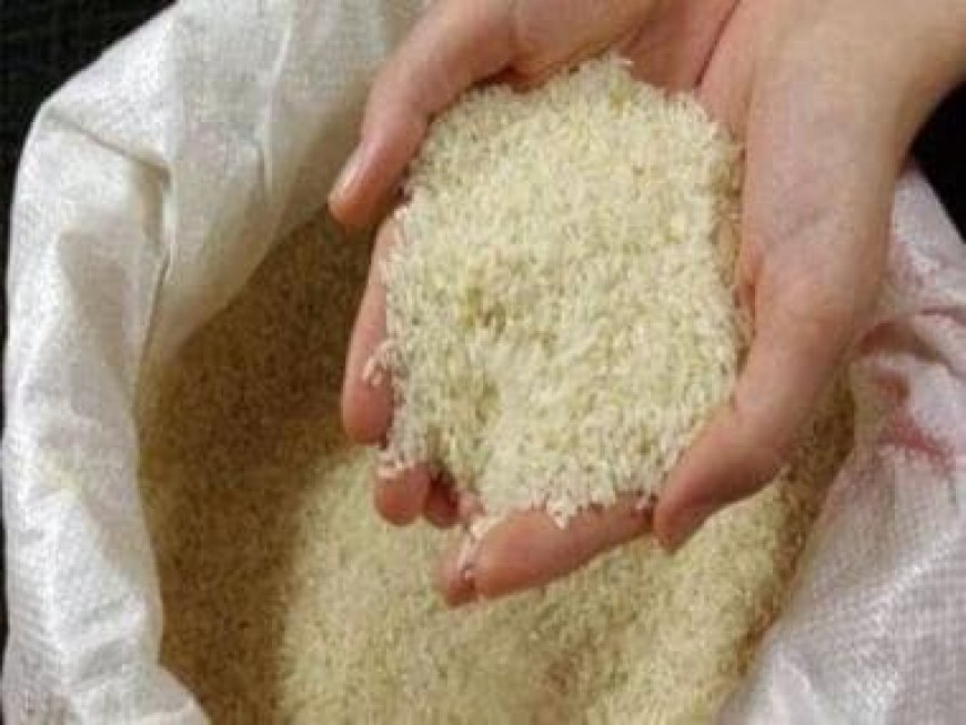 Rice output expected to drop this year, govt may extend curbs on exports