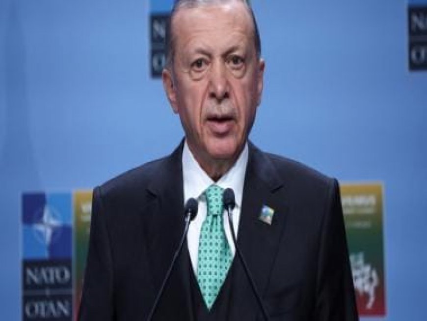 Erdogan pledges to facilitate Sweden's NATO membership bid