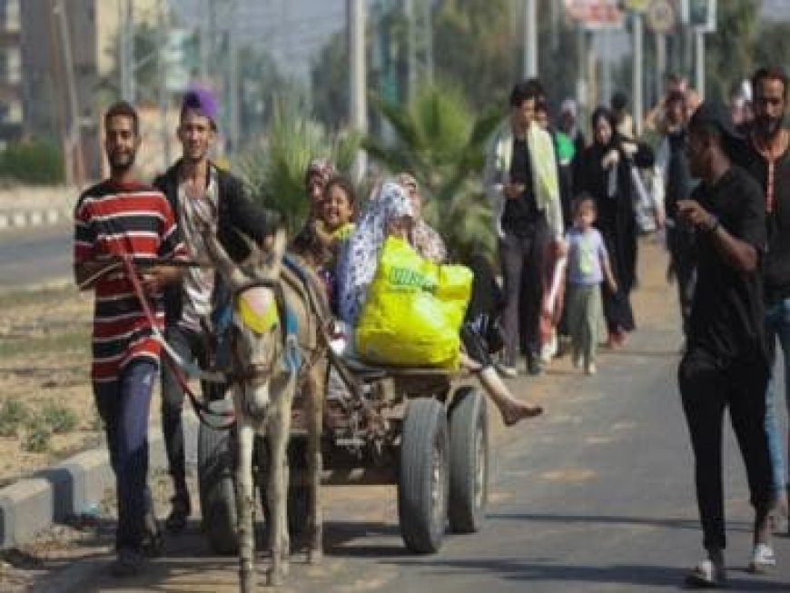 Gaza Conflict: Evacuations through Rafah crossing increase after re-opening