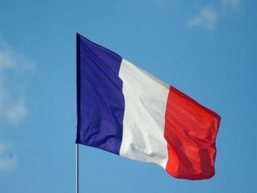 France will use funds in tax-free savings accounts to finance defence