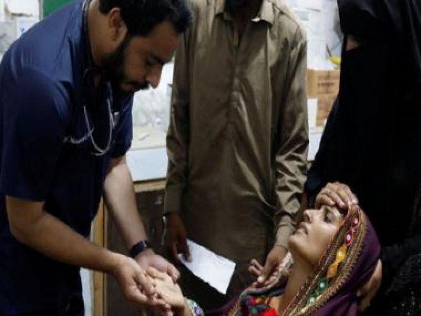 After bankruptcy, political turmoil, Pakistan hit by ‘incurable’ virus causing ‘Congo Fever’
