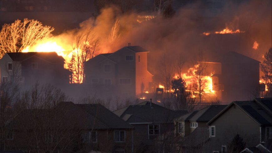 Grassland and shrubland fires destroy more U.S. homes than forest fires