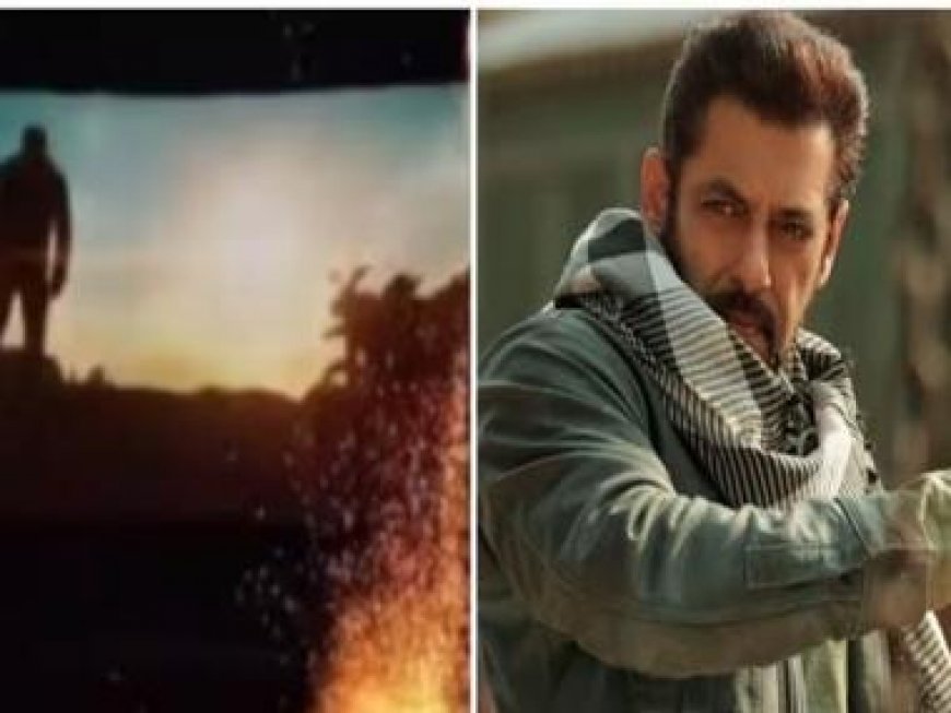 Salman Khan on fans bursting crackers inside cinemas playing 'Tiger 3': 'This is dangerous'