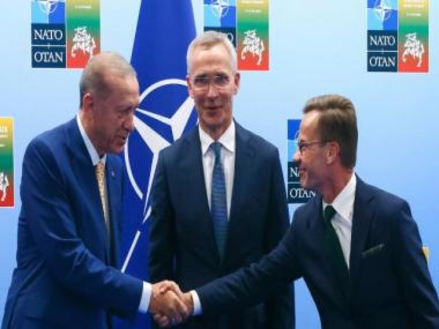 Turkish parliamentary committee postpones vote on Sweden's NATO membership bid