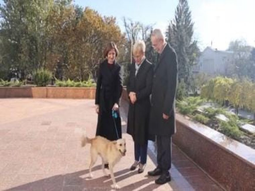 Moldovan president's dog bites Austrian president and gets a toy