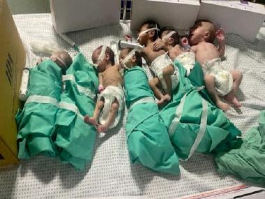 Gaza health official says 31 premature babies evacuated from Al-Shifa hospital