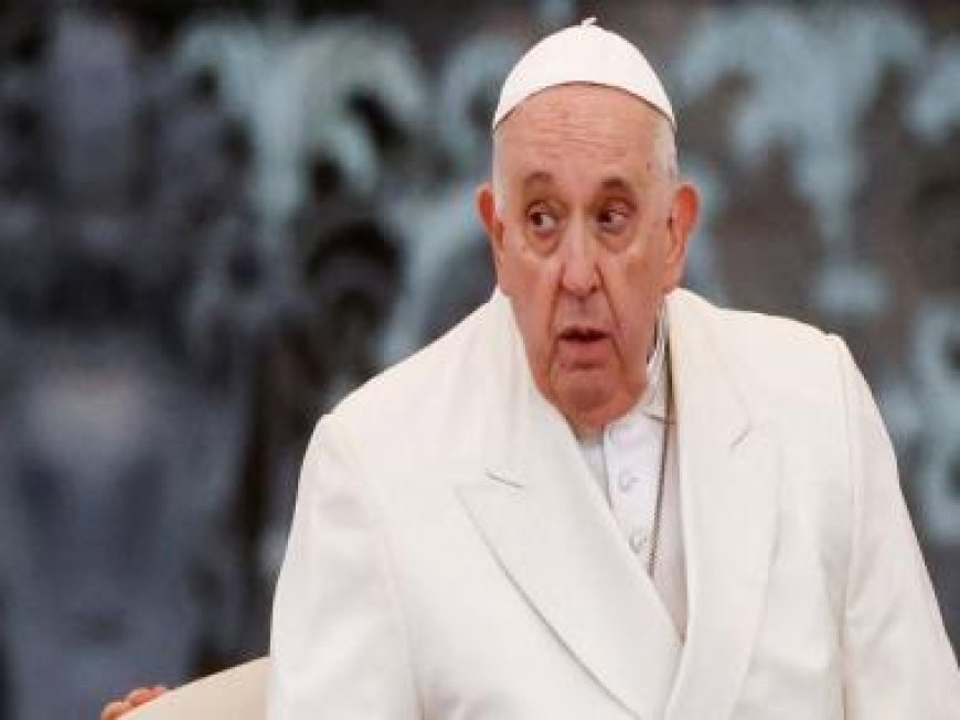 Pope Francis cancels audiences after 'light flu symptoms': Vatican