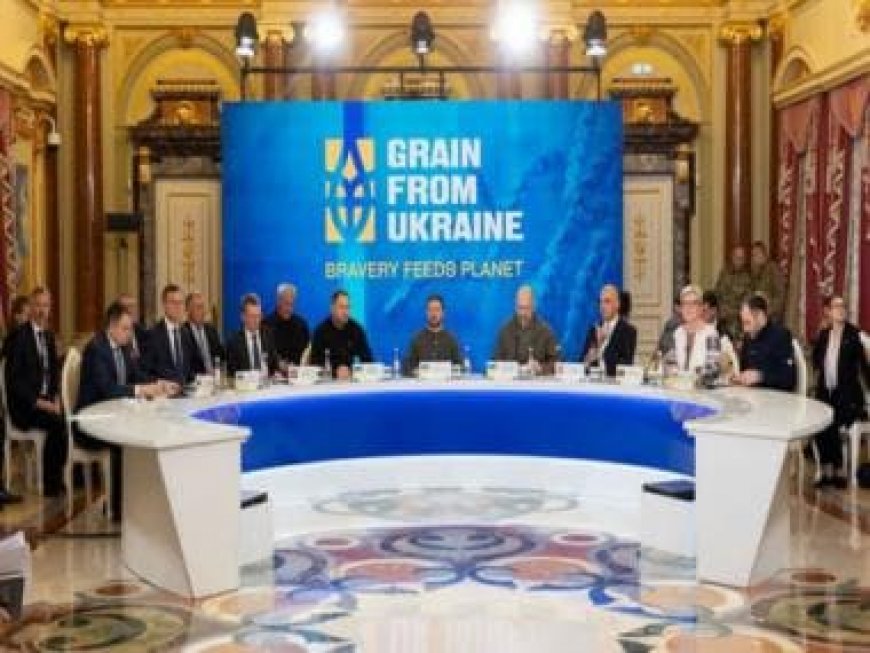 Ukraine War: Zelenskiy urges stronger air defence to protect grain exports