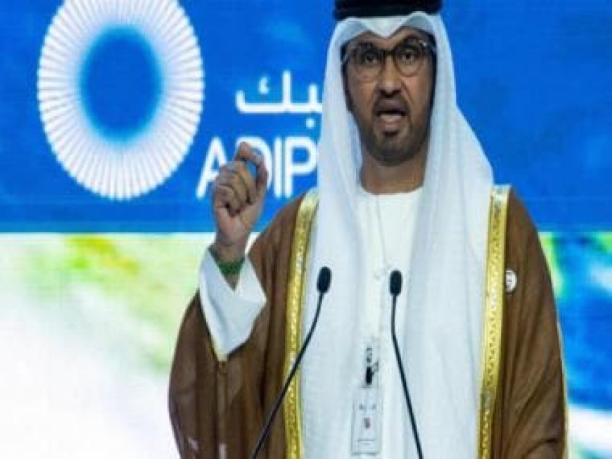 UAE aimed to use COP28 to strike oil deals, claims report