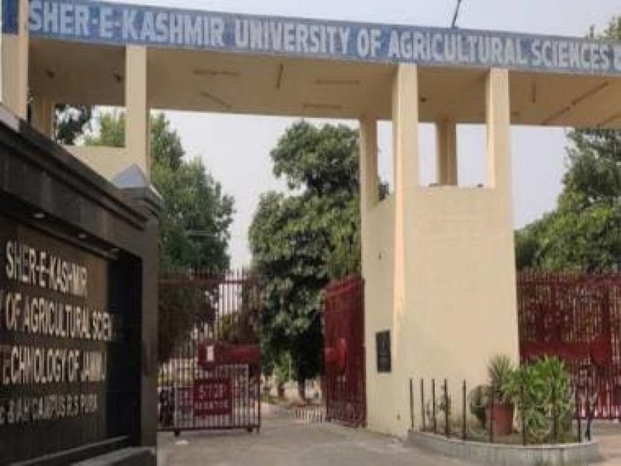 7 Kashmiri students 'abused, targeted' faculty, non-Kashmiris for supporting India in World Cup finals, booked in UAPA