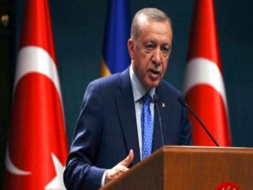 Turkey’s Erdogan tells Guterres Israel must be tried in international courts for Gaza war crimes