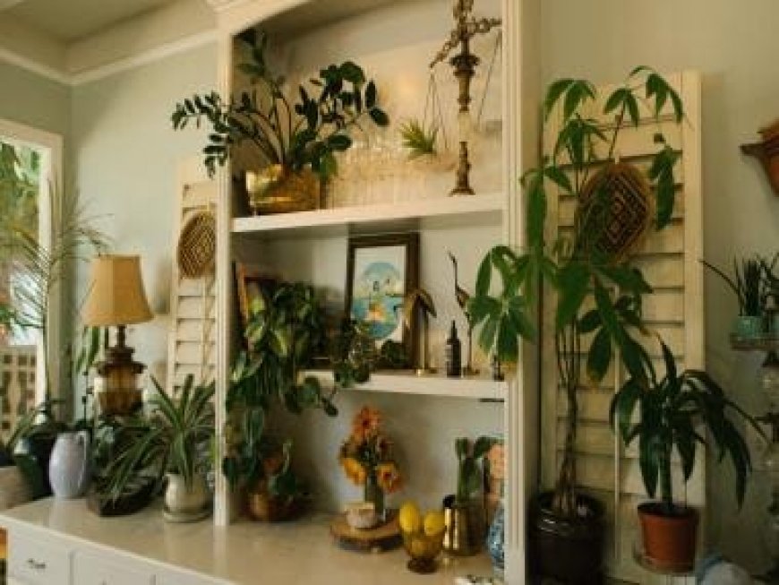 Cultivating Green Bliss: In-House Gardening Ideas with Unique Domestic Plants