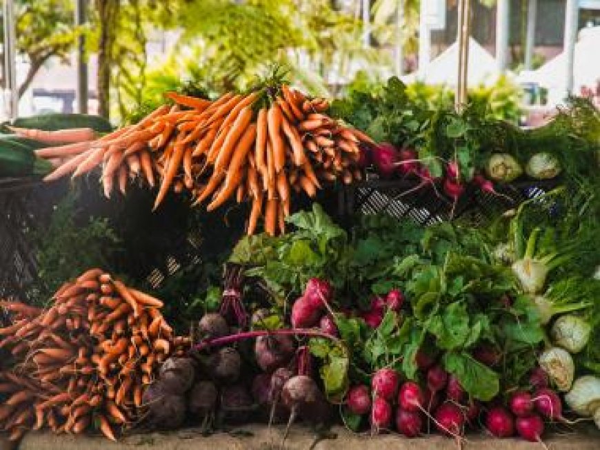 Embracing Winter Wellness: A Bounty of Vegetables and Their Benefits