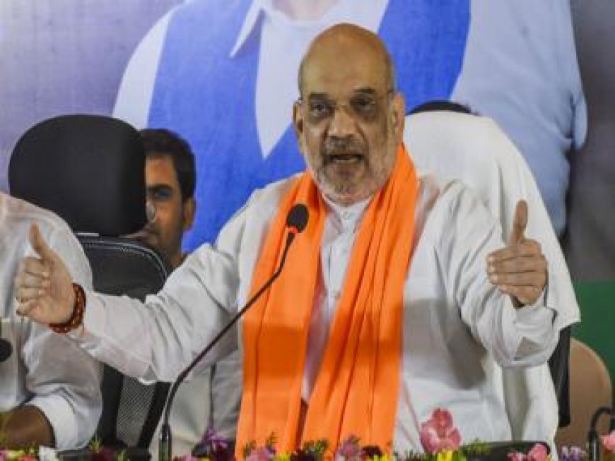 'New India votes on politics of performance': Amit Shah on BJP's stellar show in Assembly polls