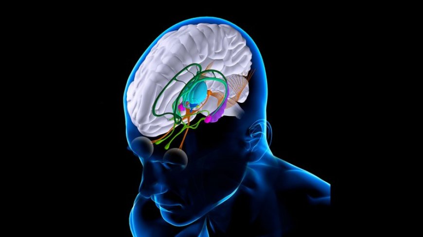 Electrical brain implants may help patients with severe brain injuries