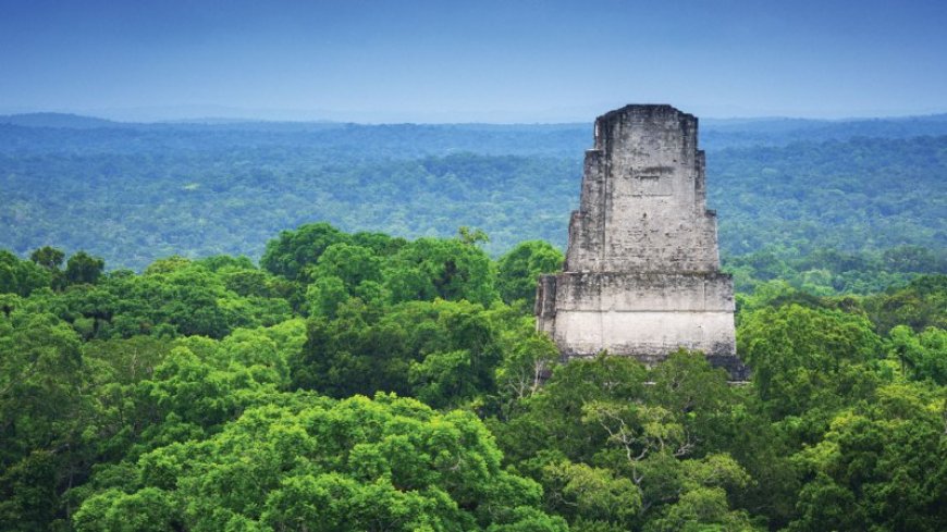 Ancient Maya power brokers lived in neighborhoods, not just palaces