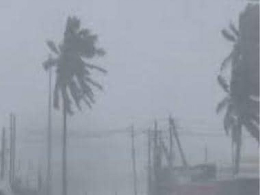 WATCH: Strong winds, heavy rain in Andhra Pradesh as Cyclone Michaung makes landfall