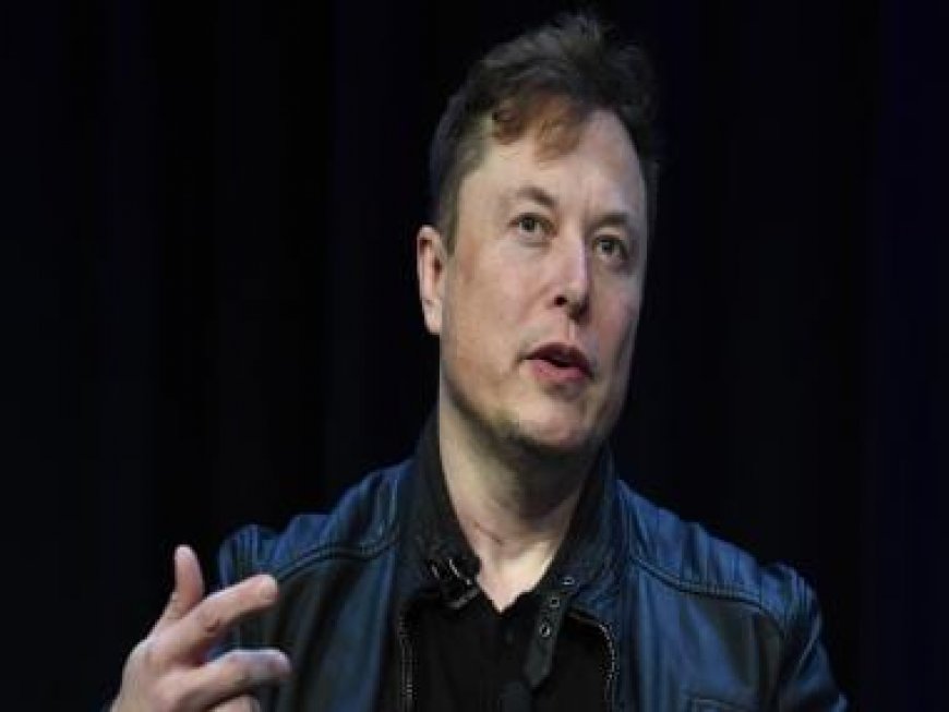 Elon Musk’s ChatGPT-killer xAI to raise $1 billion to invest in Grok, other bots, take on OpenAI