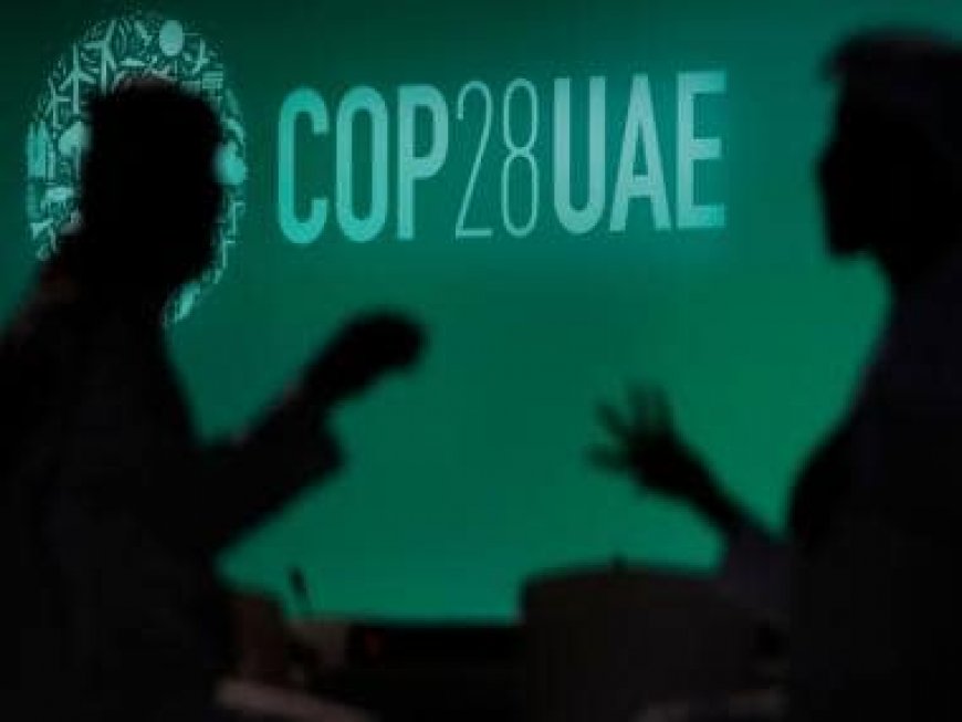 COP28 president says summit 'making progress', but not 'fast and satisfying enough'