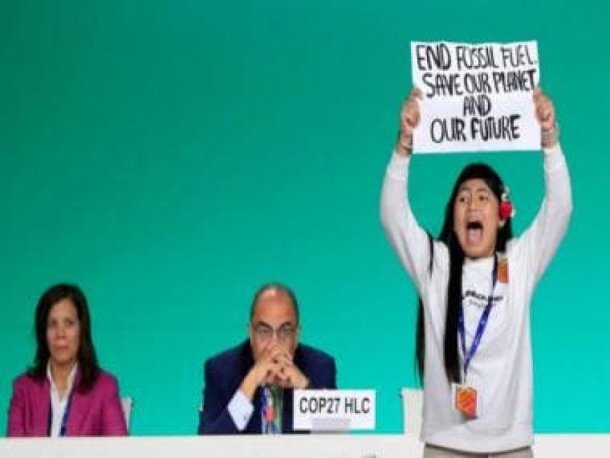 COP28 Summit: Protester storms stage, demands end to fossil fuels