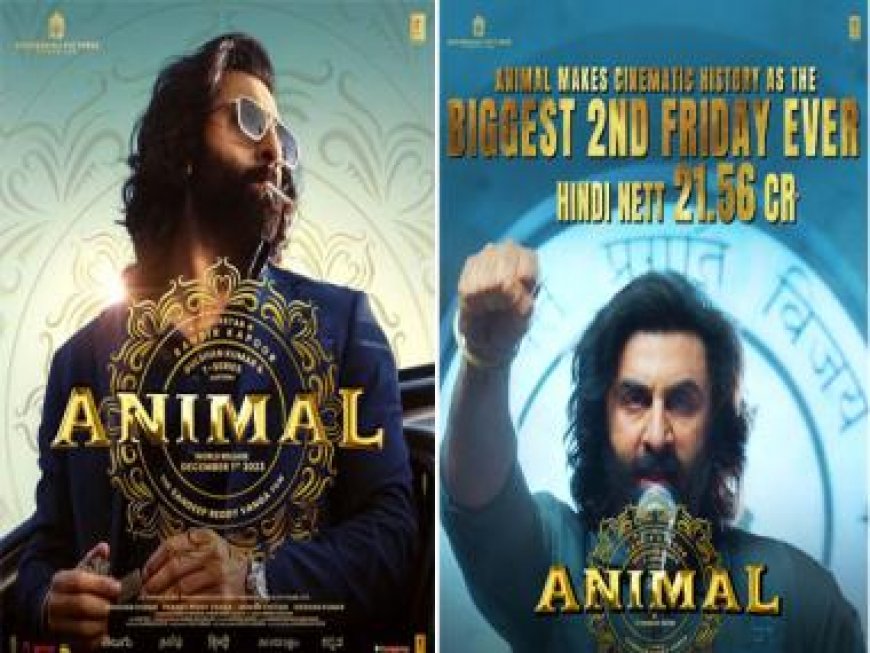 Year Ender 2023: With Ranbir Kapoor’s Animal a success, toxic masculinity rules Bollywood