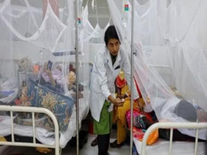 World gripped by dengue: So far in 2023 mosquito-borne disease has infected 5 million, killed 5,500