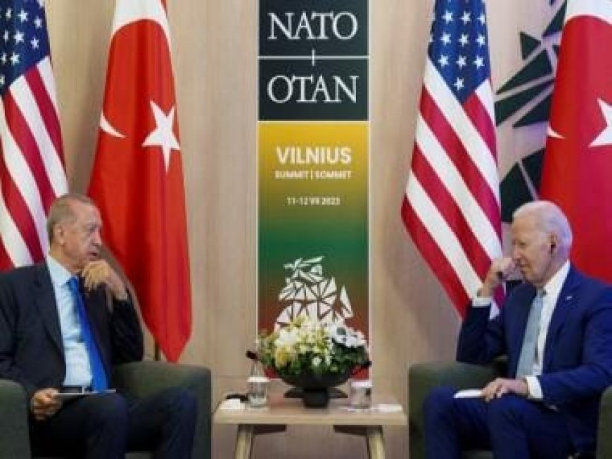 US President Biden, Turkey's Erdogan discuss Gaza war, Sweden's NATO bid