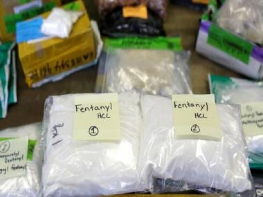 Hong Kong's first ever 800kg fentanyl seizure has an India connection, investigators reveal