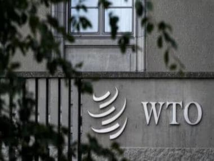 India strongly objects to efforts of certain countries to push a proposal on investment facilitation at WTO