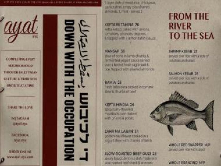 'From river to sea': Palestinian diner in New York faces flak for anti-Semitic menu