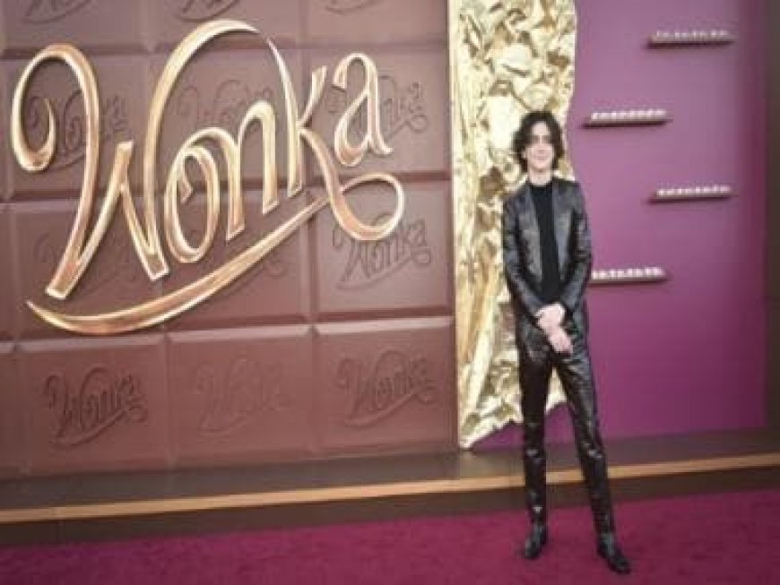 Timothée Chalamet starrer Wonka ends the year No 1 at the box office, 2023 sales reach $9 billion in post-pandemic best