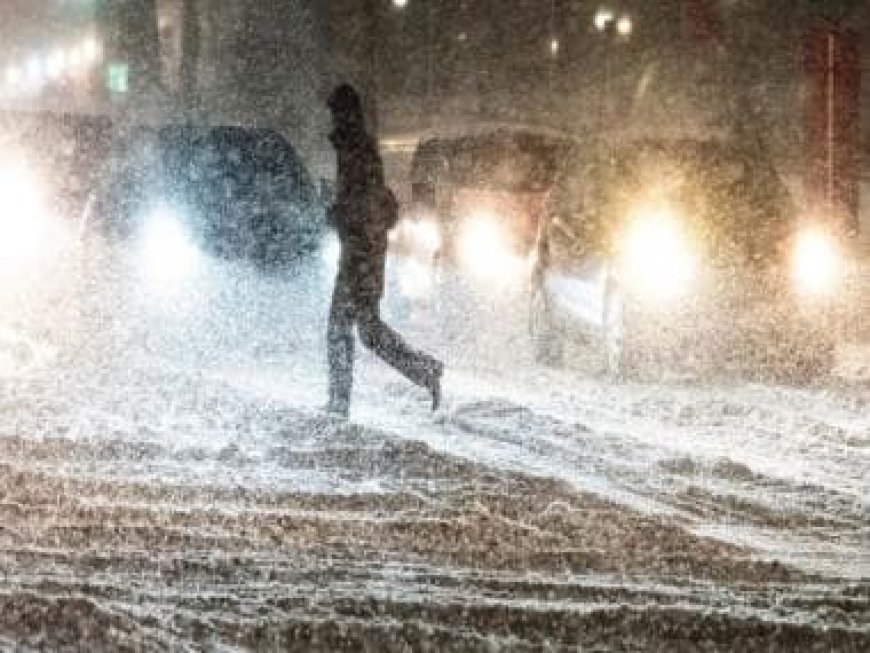 Extreme cold grips Nordic countries, Sweden sees record cold as temperatures plunge below -40 Celsius