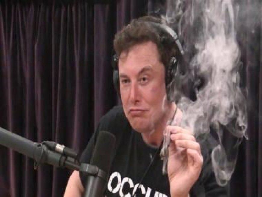 Report claims Tesla, SpaceX leaders worried over Elon Musk’s drug abuse, tech mogul responds
