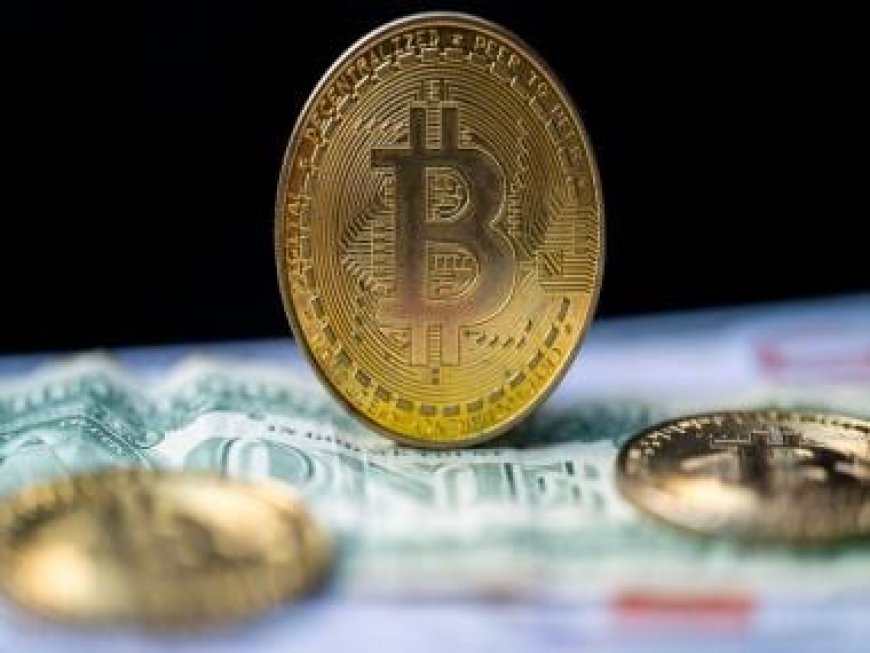 Bitcoin ETFs go viral, US investors trade about $4.6bn worth of cryptos on first day of trading