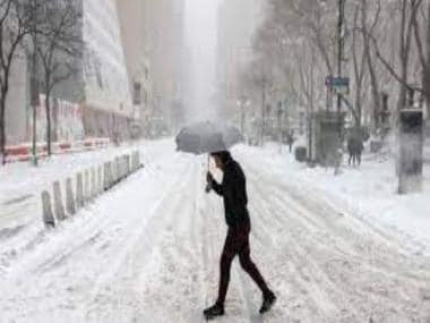 Blizzard hits US Midwest, flights cancelled, presidential campaign halted