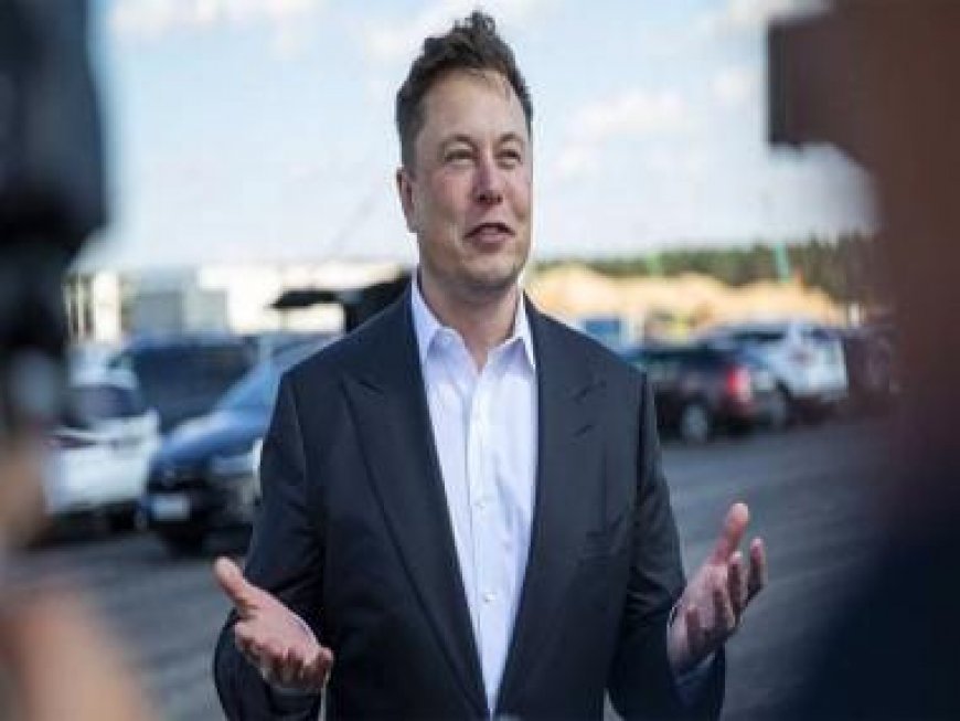 Elon Musk’s Tesla loses $94 billion in market valuation as global EV market slows down