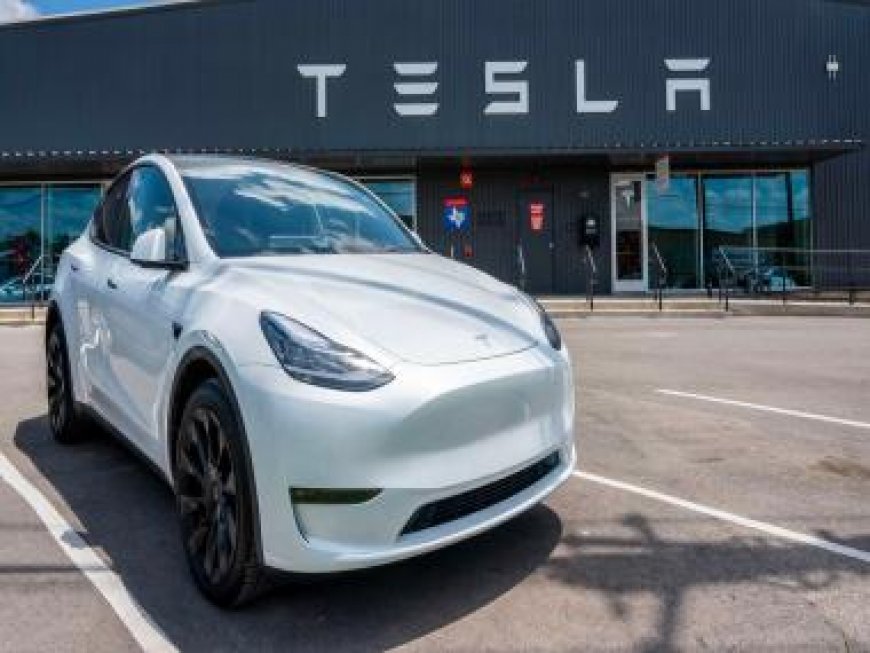 Tesla’s entry has major Indian EV players worried, Mahindra, Tata lobbying for ‘level playing field’