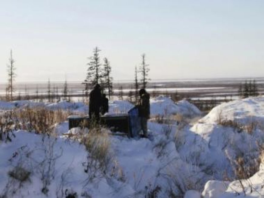 How ‘zombie’ viruses in Siberia could trigger the next deadly pandemic
