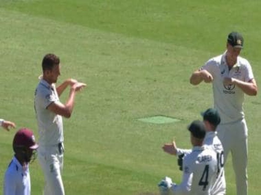 WATCH: COVID-positive Cameron Green shooed away by Josh Hazlewood during Gabba Test