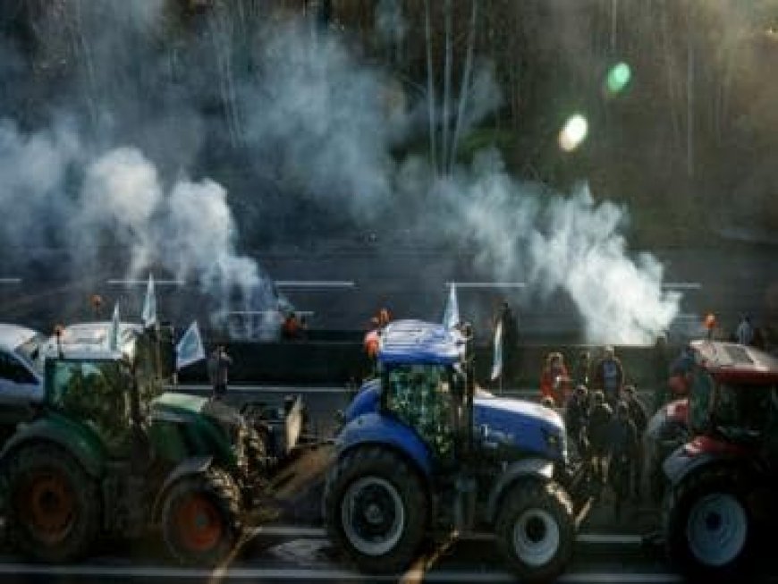 French farmers to continue protests despite govt's offer of concessions