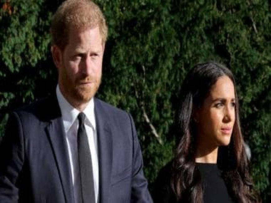 Prince Harry has 'no power'; it is Meghan who takes the call