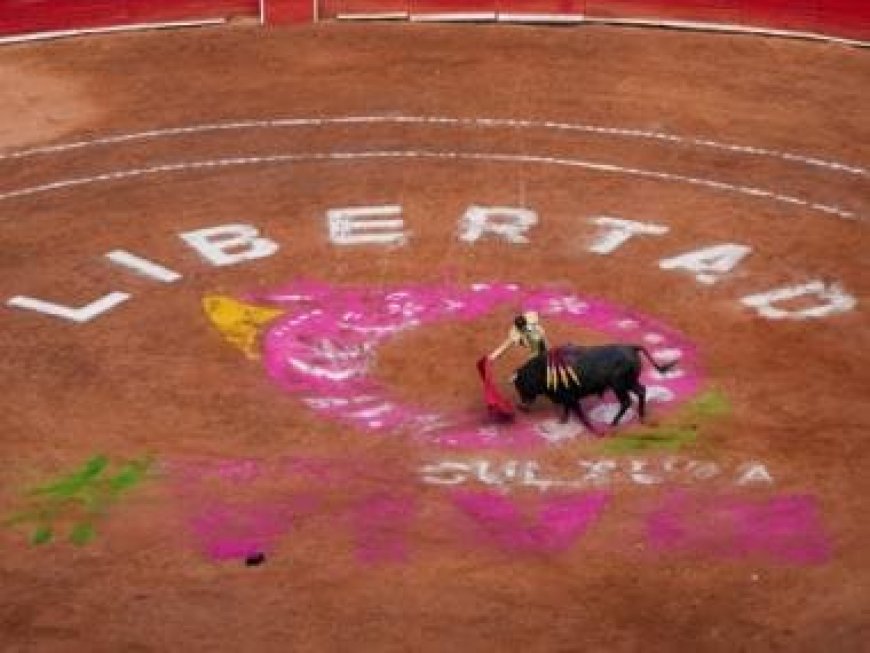 Mexico City bullfights hit with new suspension days after resumption