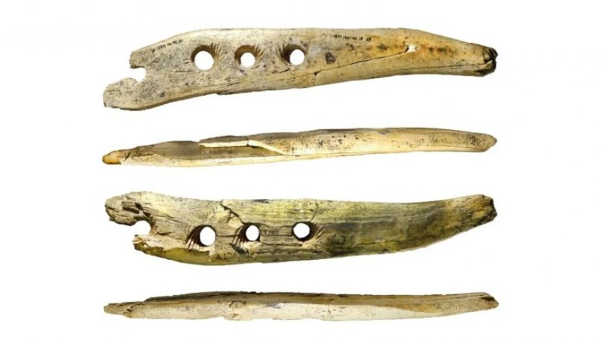 A four-holed piece of ivory provides a glimpse into ancient rope-making