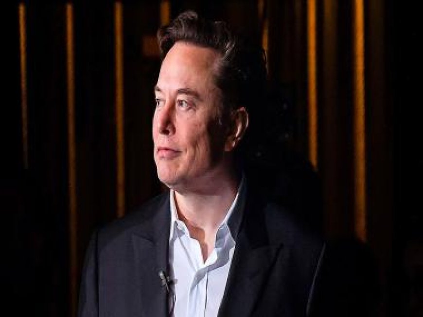 Elon Musk hopes his Tesla, SpaceX credentials will be enough to draw investors to xAI