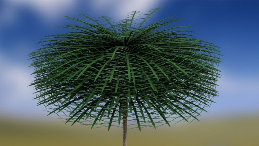 A rare 3-D tree fossil may be the earliest glimpse at a forest understory