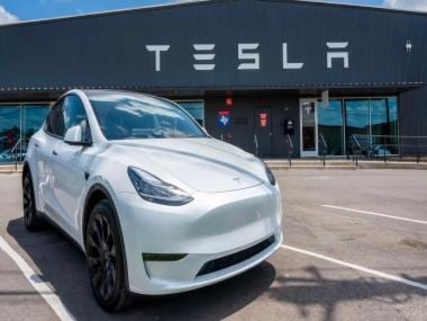 Tesla sold only one car in South Korea last month, issues with EVs made in China to blame