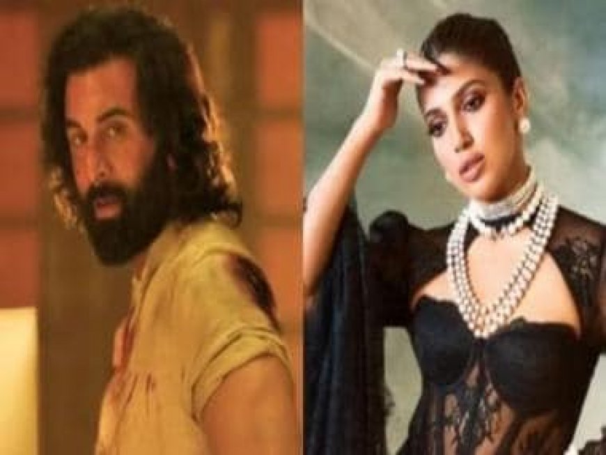 Bhumi Pednekar on Ranbir Kapoor's 'Animal': 'I saw the film; don't like hyper-masculine films, never liked them as...'
