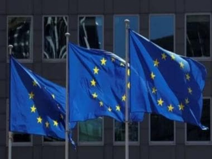 Indian, Chinese firms among two dozen companies to face EU sanctions for aiding Russia: Report